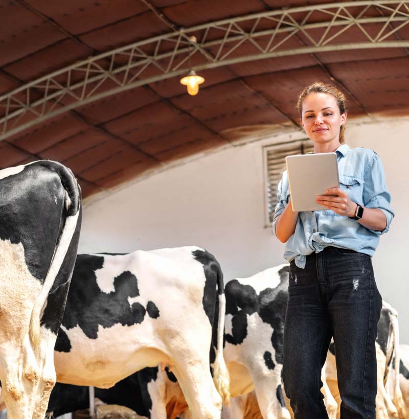 KI ind der Landwirtschaft